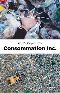 Consommation inc