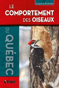 Comportement des oiseaux du Québec le