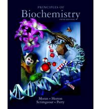 Principles of Biochemistry 5e ed.
