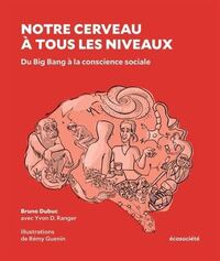 Notre cerveau à tous les niveaux